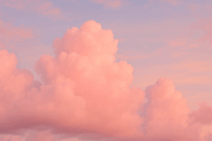 fc0a3b78cedd4adcd33604753b122427