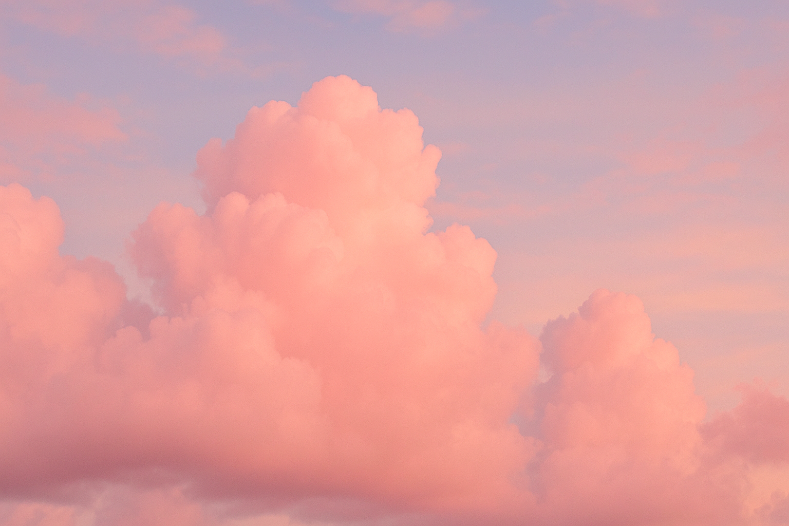 fc0a3b78cedd4adcd33604753b122427