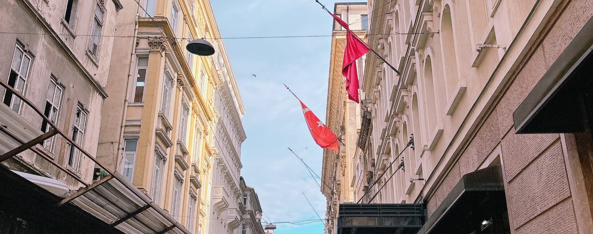 IMG 9322 scaled e1764300306424