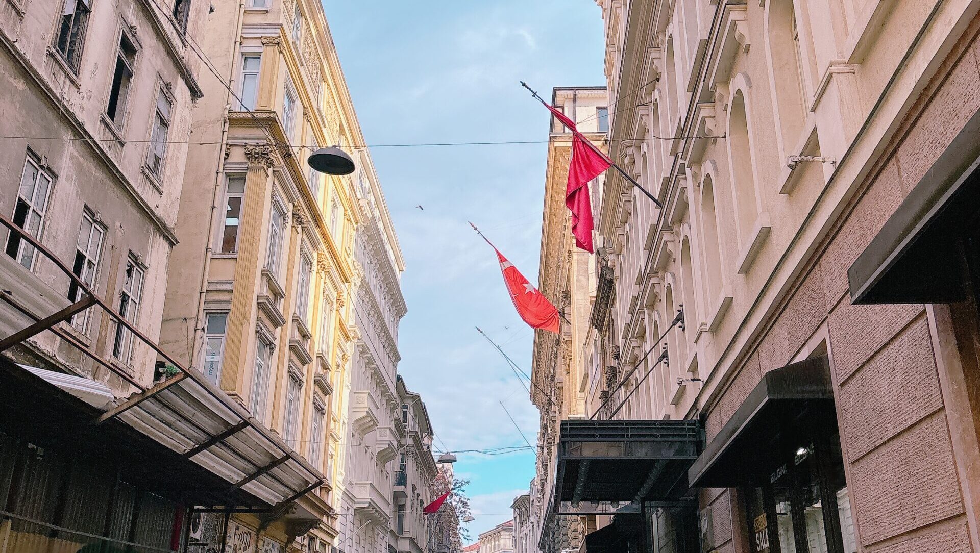 IMG 9322 scaled e1764300306424