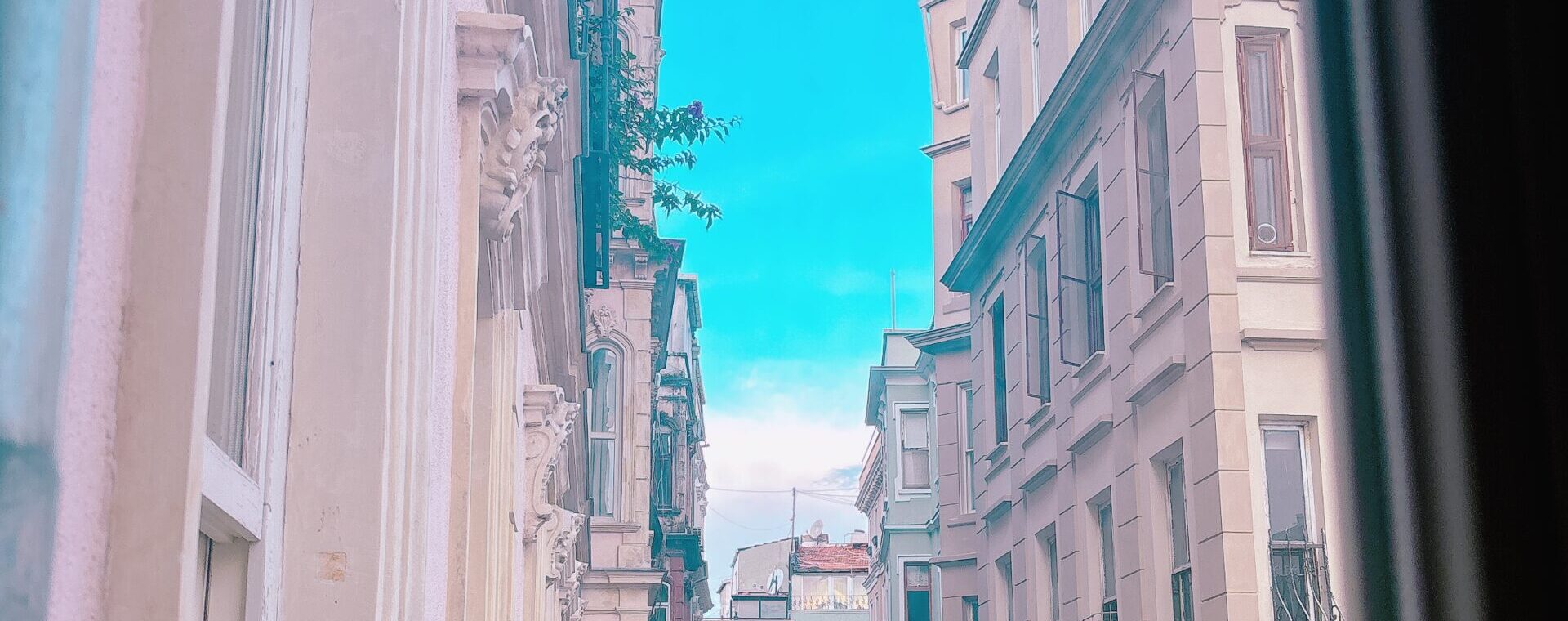 IMG 9146 scaled e1765338367685