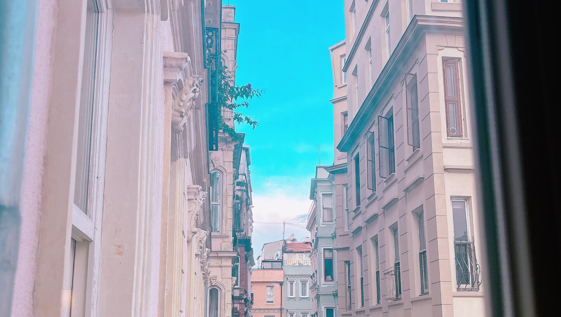 IMG 9146 scaled e1765338367685