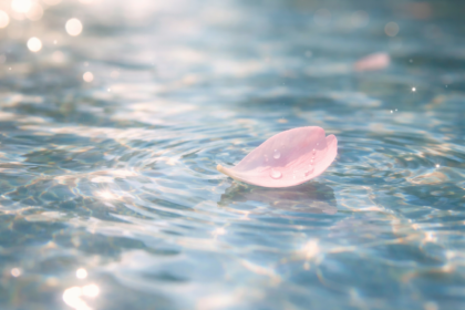 962d6677fbc8405dbfd4e6de5854ce23 962d6677fbc8405dbfd4e6de5854ce23