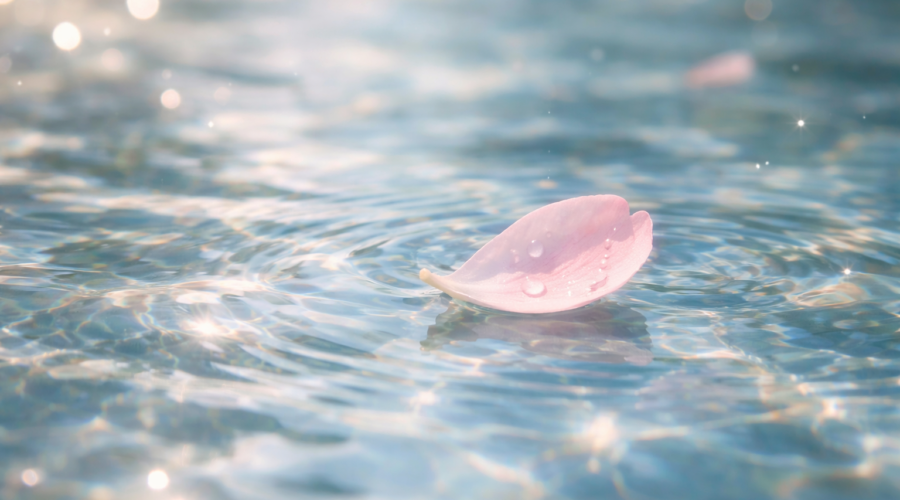 962d6677fbc8405dbfd4e6de5854ce23