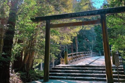 IMG 0302 scaled e1768813753631