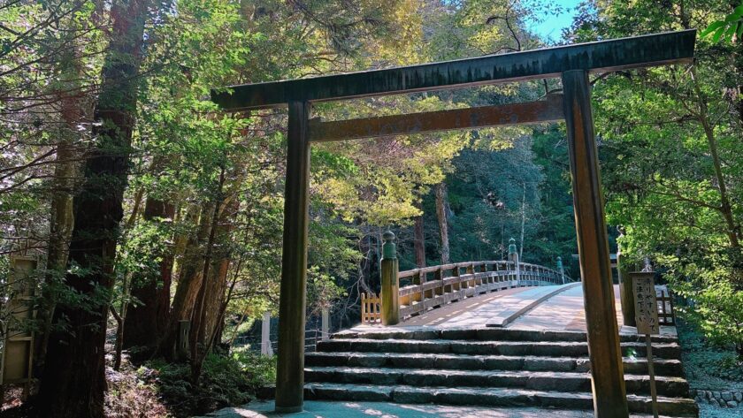 IMG 0302 scaled e1768813753631 IMG 0302 scaled e1768813753631