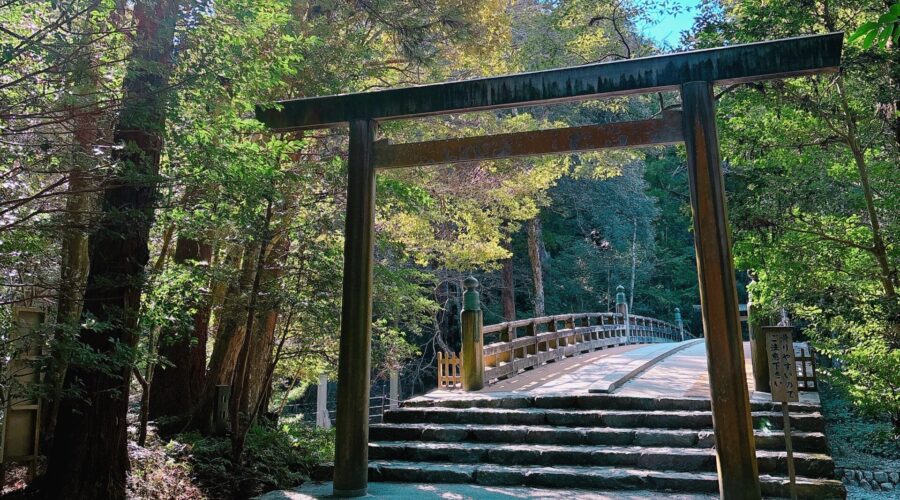 IMG 0302 scaled e1768813753631