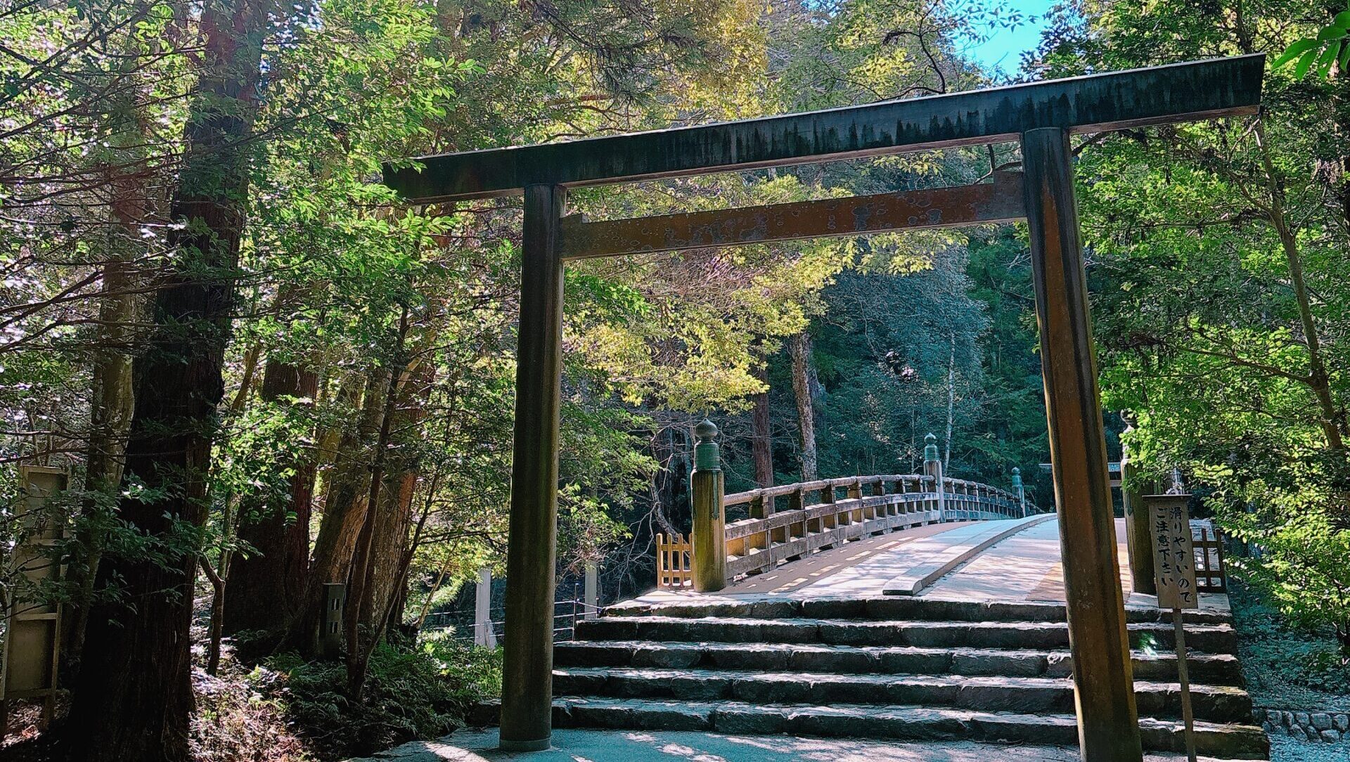 IMG 0302 scaled e1768813753631 IMG 0302 scaled e1768813753631